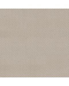 Shaw FORMALIZE Fossil Path Carpet - SH-5E291-00108