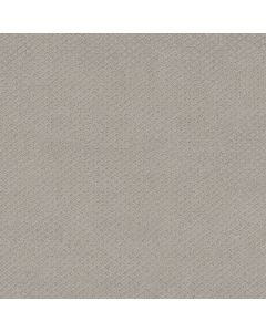 Shaw FORMALIZE Silver Lining Carpet - SH-5E291-00500