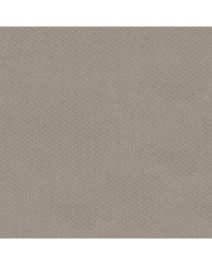 Shaw FORMALIZE Newstone Haven Carpet - SH-5E291-00502