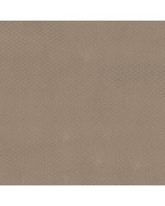 Shaw FORMALIZE Desert View Carpet - SH-5E291-00701