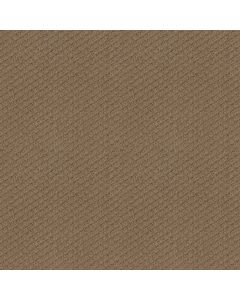 Shaw FORMALIZE Raw Wood Carpet - SH-5E291-00720