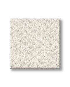 Shaw MAINSTAY Serene Still Carpet - SH-5E292-00101