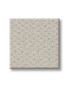 Shaw MAINSTAY Winters Dawn Carpet - SH-5E292-00102