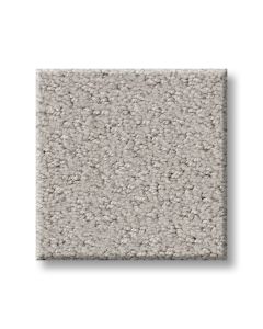 Shaw MAINSTAY Split Sediment Carpet - SH-5E292-00104