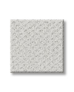 Shaw MAINSTAY English Streets Carpet - SH-5E292-00105