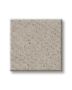 Shaw MAINSTAY Fossil Path Carpet - SH-5E292-00108