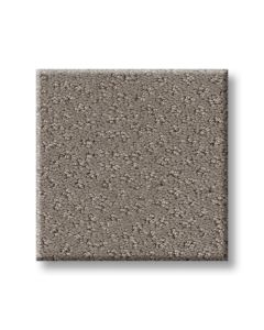 Shaw MAINSTAY River Run Carpet - SH-5E292-00700
