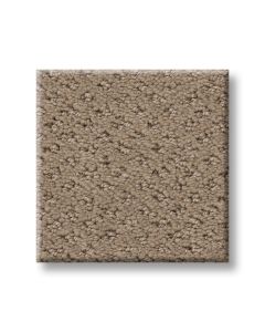 Shaw MAINSTAY Desert View Carpet - SH-5E292-00701