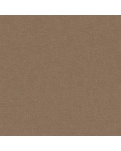 Shaw MAINSTAY Raw Wood Carpet - SH-5E292-00720