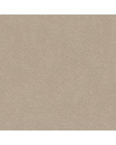 Shaw WELL GROUNDED I 12 Dreamy Carpet - SH-5E314-00103