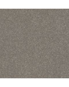 Shaw WELL GROUNDED I 15 Tree Bark Carpet - SH-5E315-00700