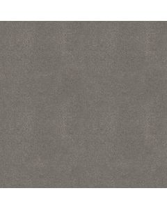 Shaw WELL GROUNDED II 12 Concrete Carpet - SH-5E316-00500