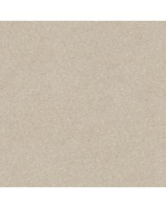 Shaw WELL GROUNDED II 15 Bleached Carpet - SH-5E317-00101