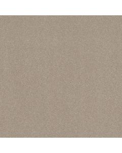 Shaw WELL GROUNDED II 15 Dreamy Carpet - SH-5E317-00103