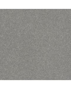 Shaw WELL GROUNDED II 15 Dusty Trail Carpet - SH-5E317-00503