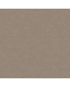 Shaw WELL GROUNDED III 15 Natural Contour Carpet - SH-5E319-00104