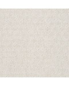 Shaw VALID Mist Carpet - SH-5E323-00101
