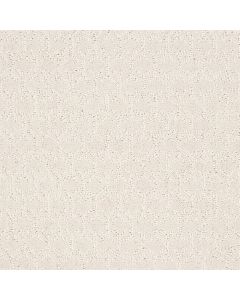 Shaw VALID Pearl Carpet - SH-5E323-00103