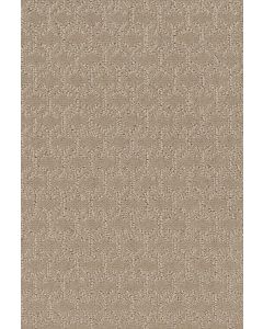 Shaw VALID Nature Walk Carpet - SH-5E323-00107