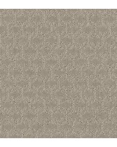 Shaw VALID Twine Carpet - SH-5E323-00108