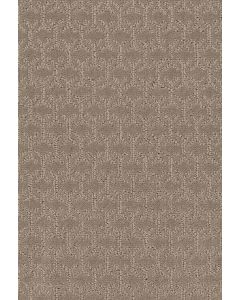 Shaw VALID Shadow Carpet - SH-5E323-00109