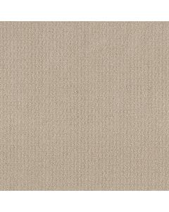 Shaw TRANSLATE Biscuit Carpet - SH-5E328-00107