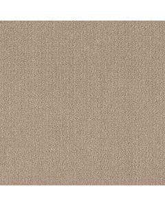 Shaw TRANSLATE Fresh Baked Carpet - SH-5E328-00110