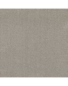 Shaw TRANSLATE Fossil Carpet - SH-5E328-00505