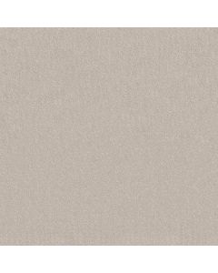 Shaw CHIC NUANCE Serene Still Carpet - SH-5E341-00101
