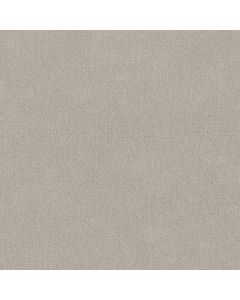 Shaw CHIC NUANCE Winters Dawn Carpet - SH-5E341-00102
