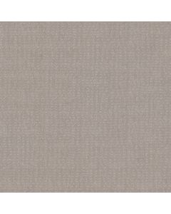 Shaw CHIC NUANCE Split Sediment Carpet - SH-5E341-00104