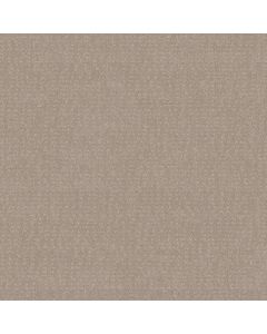 Shaw CHIC NUANCE Butter Cream Carpet - SH-5E341-00107