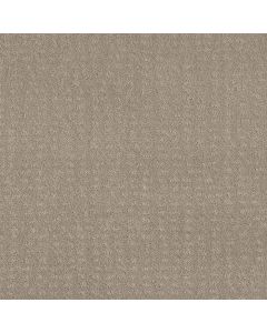 Shaw CHIC NUANCE Fossil Path Carpet - SH-5E341-00108