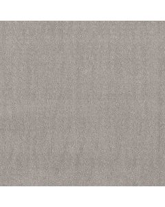 Shaw CHIC NUANCE Silver Lining Carpet - SH-5E341-00500