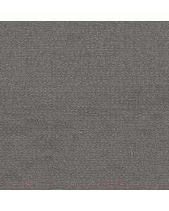 Shaw CHIC NUANCE Grey Fox Carpet - SH-5E341-00504