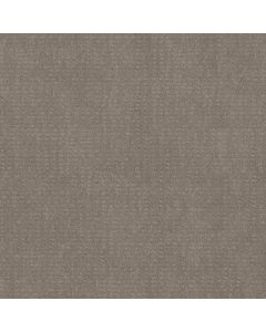 Shaw CHIC NUANCE River Run Carpet - SH-5E341-00700