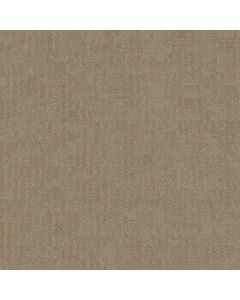 Shaw CHIC NUANCE Desert View Carpet - SH-5E341-00701