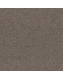 Shaw CHIC NUANCE Ridgeview Carpet - SH-5E341-00751