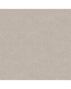 Shaw CHIC SHADES Serene Still Carpet - SH-5E342-00101