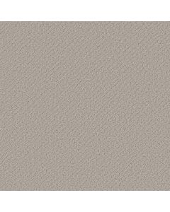 Shaw CHIC SHADES Split Sediment Carpet - SH-5E342-00104