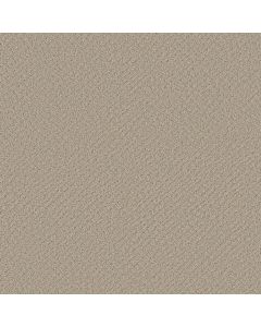 Shaw CHIC SHADES Butter Cream Carpet - SH-5E342-00107