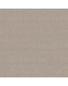 Shaw CHIC SHADES Fossil Path Carpet - SH-5E342-00108