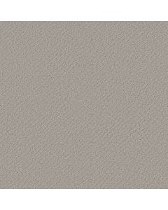 Shaw CHIC SHADES Silver Lining Carpet - SH-5E342-00500
