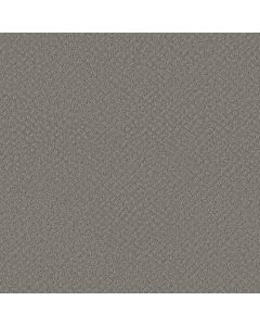 Shaw CHIC SHADES Grey Fox Carpet - SH-5E342-00504