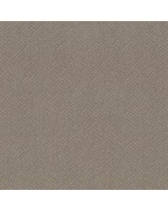 Shaw CHIC SHADES River Run Carpet - SH-5E342-00700