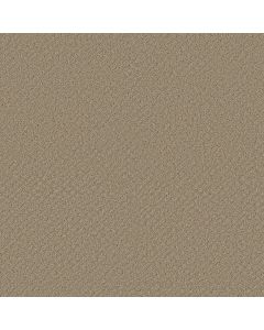 Shaw CHIC SHADES Desert View Carpet - SH-5E342-00701