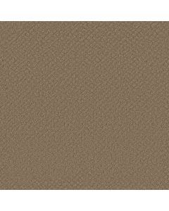 Shaw CHIC SHADES Raw Wood Carpet - SH-5E342-00720
