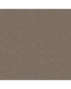 Shaw CHIC SHADES Ridgeview Carpet - SH-5E342-00751