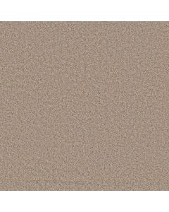 Shaw TAKE AWAY (T) Summer Sand Carpet - SH-5E425-00121