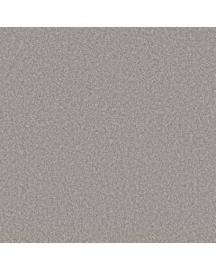 Shaw TAKE AWAY (T) Chateau Carpet - SH-5E425-00520